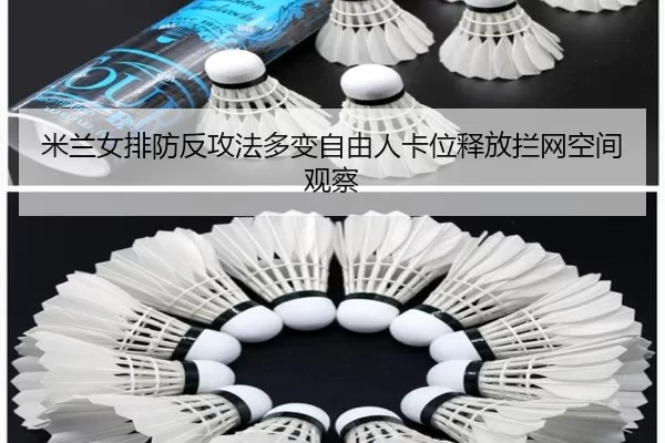 mi-lan-nv-pai-fang-fan-gong-fa-duo-bian-zi-you-ren-ka-wei-shi-fang-lan-wang-kong-jian-guan-cha-2-647.jpg